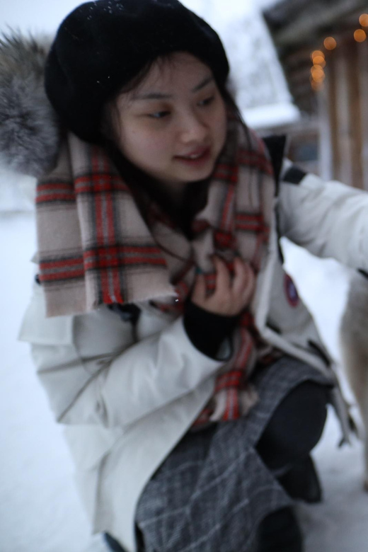 Rovaniemi: Santa Claus Village Tour Huskies & Reindeer ride - Should you book this Rovaniemi tour?
