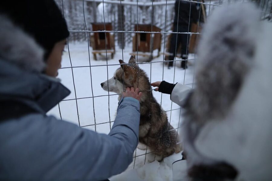 Rovaniemi: Santa Claus Village Tour Huskies & Reindeer ride - Reindeer connect the visit to Lapland’s culture
