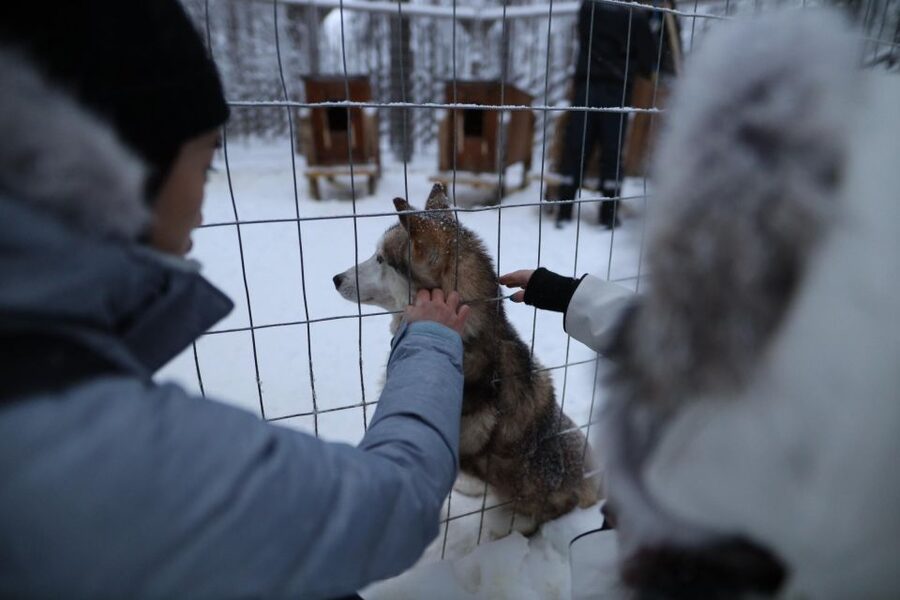 Rovaniemi: Santa Claus Village Tour Huskies & Reindeer Visit - Key points to know before booking