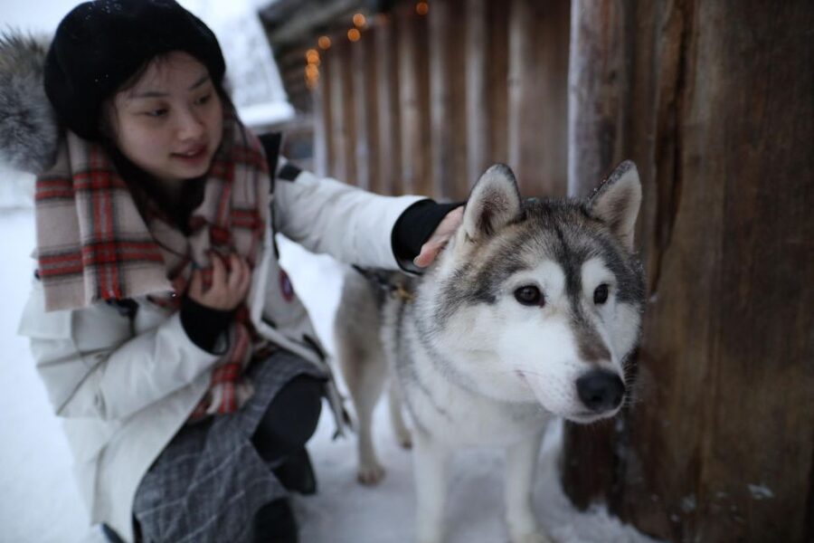 Rovaniemi: Santa Claus Village Tour Huskies & Reindeer Visit - Santa Claus Village packs a lot into one stop