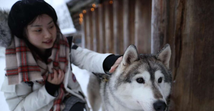 Rovaniemi: Santa Claus Village Tour Huskies & Reindeer Visit - The husky park focuses on contact, not a long sled run