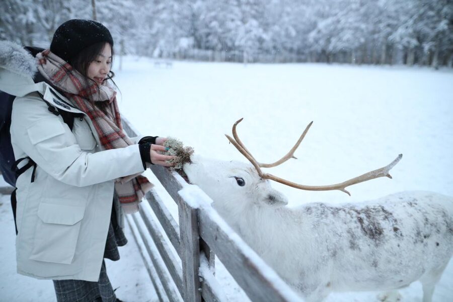Rovaniemi: Santa Claus Village Tour Huskies & Reindeer Visit - Four and a half hours is a useful middle ground