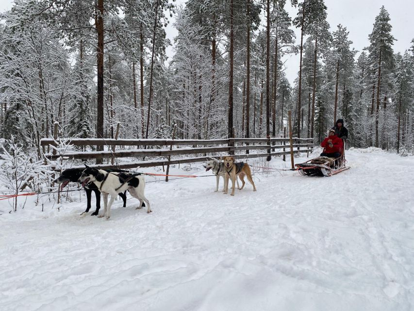 Rovaniemi: Santa Claus Village Tour Huskies & Reindeer Visit - Booking advice for the $235 price