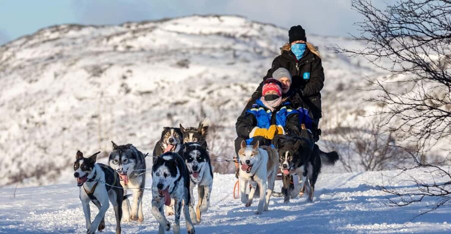 Rovaniemi: Santa's Village, Husky, & Reindeer Sled Ride - Santa Claus Village and the Arctic Circle welcome