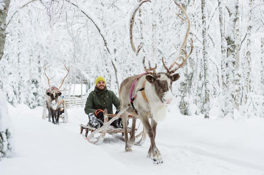 Rovaniemi: Santa's Village, Husky, & Reindeer Sled Ride - Meeting Santa without losing the day