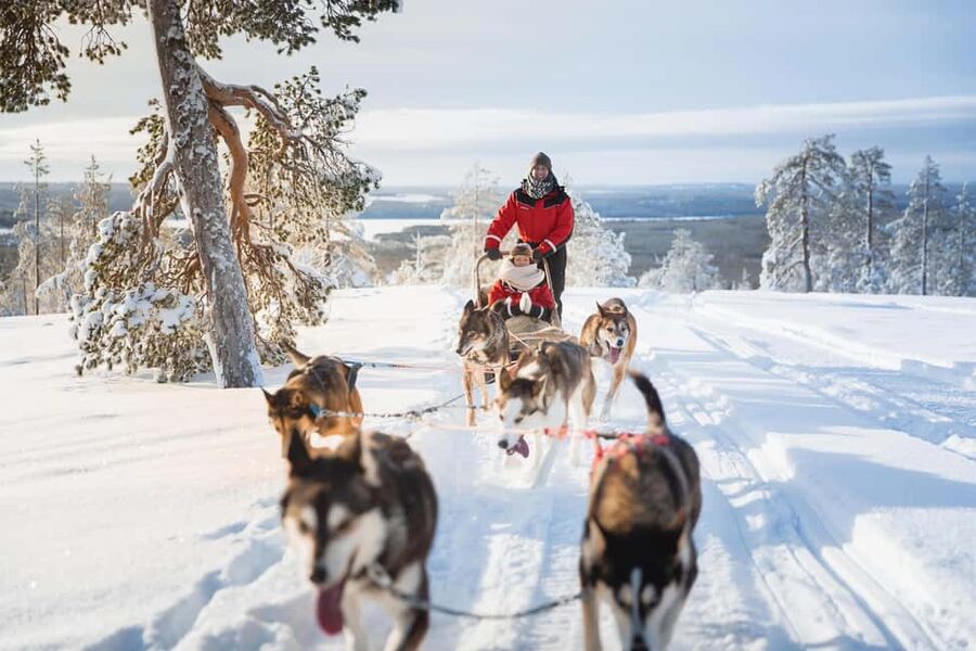 Rovaniemi: Santa Village,2km Husky Sled Ride & Snowman World - Meeting Santa After a 30 to 60 Minute Wait