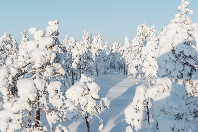 Rovaniemi: Winter Wonderland Vikaköngäs Hiking Tour & BBQ - A short route into Lapland’s winter scenery