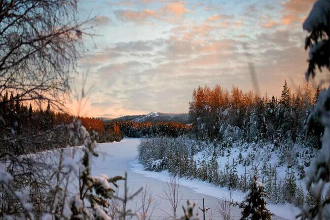 Rovaniemi: Winter Wonderland Vikaköngäs Hiking Tour & BBQ - What the 4 to 5 km hike feels like