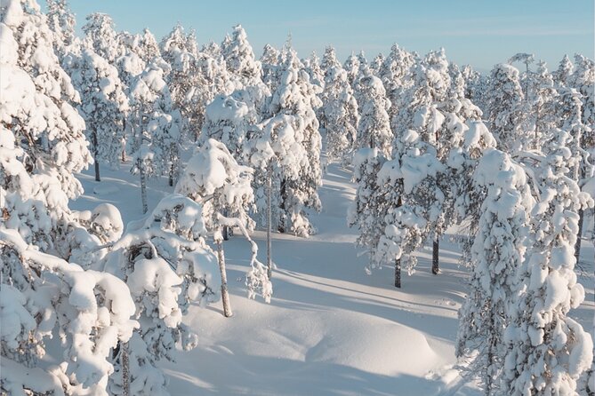 Rovaniemi: Winter Wonderland Vikaköngäs Hiking Tour & BBQ - Why the small group improves the day