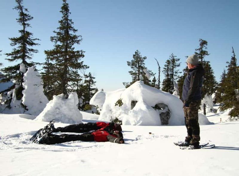 Ruka:Daytime winter wonderland hike - What the Ruka winter hike is really about