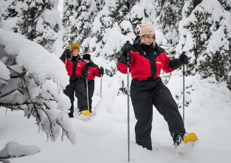 Ruka:Daytime winter wonderland hike - Starting at Ruka Safaris Safarihouse