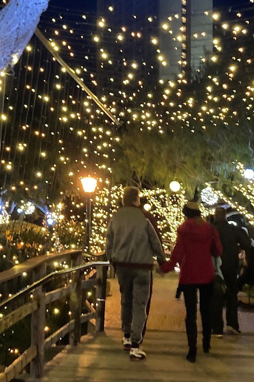 San Diego: Holiday Lights and Sights Trolley Tour - Bankers Hill and Garrison Street show a quieter side