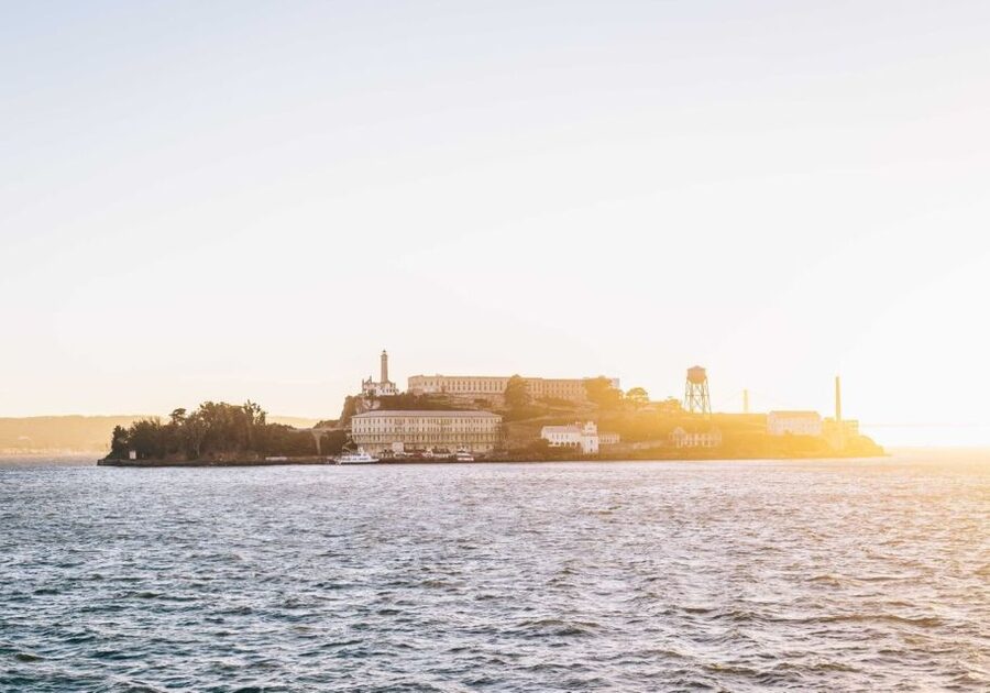 San Francisco: Christmas Day Buffet Brunch or Dinner Cruise - Key points to know before booking