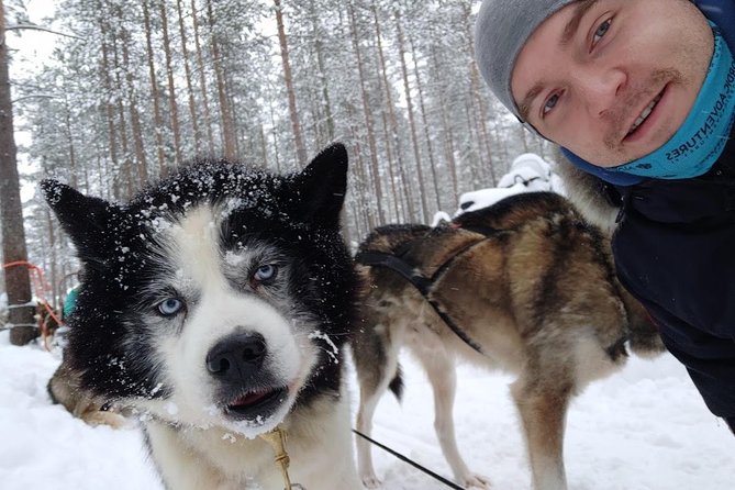 Santa Claus Village Guided Tour & Arctic Animals Adventure - The 500-meter reindeer sleigh ride