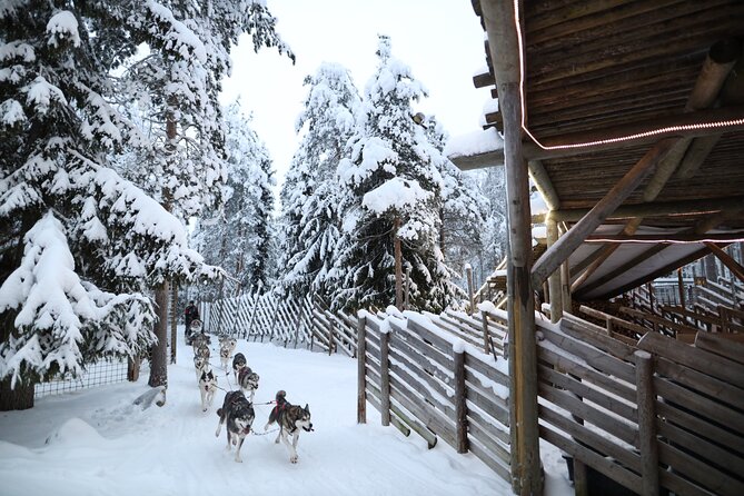 Santa Claus Village, Husky and Reindeers Combo Safari - The quick facts that matter most