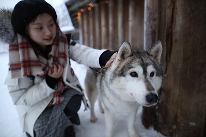 Santa Claus Village, Husky and Reindeers Combo Safari - Guides can change the feel of the morning