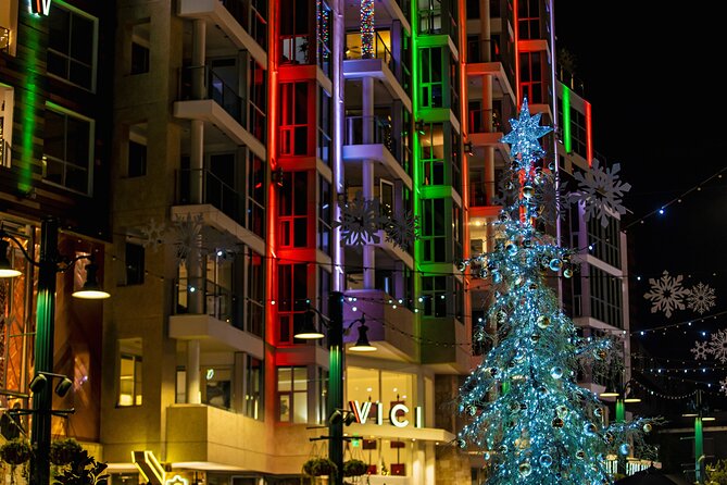 Savannah Holiday Sights and Festive Nights Trolley Tour - What the two-hour ride is really like