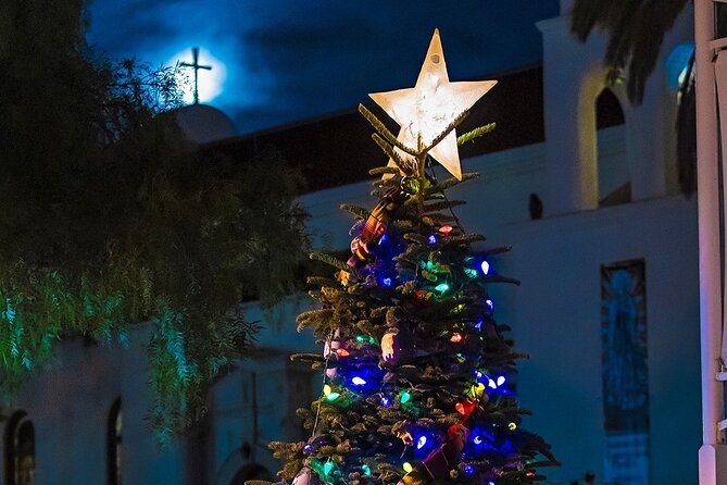 Savannah Holiday Sights and Festive Nights Trolley Tour - The American Prohibition Museum stop