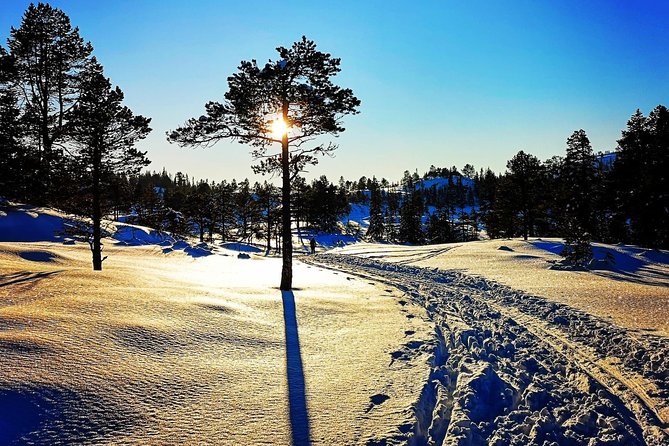 Skiing in winter wonderland - Learning the basics without pressure