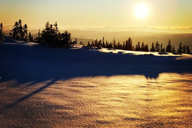 Skiing in winter wonderland - The Norwegian snack stop