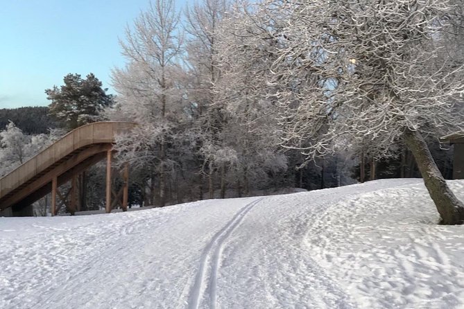 Skiing in winter wonderland - When the skis are not working for you