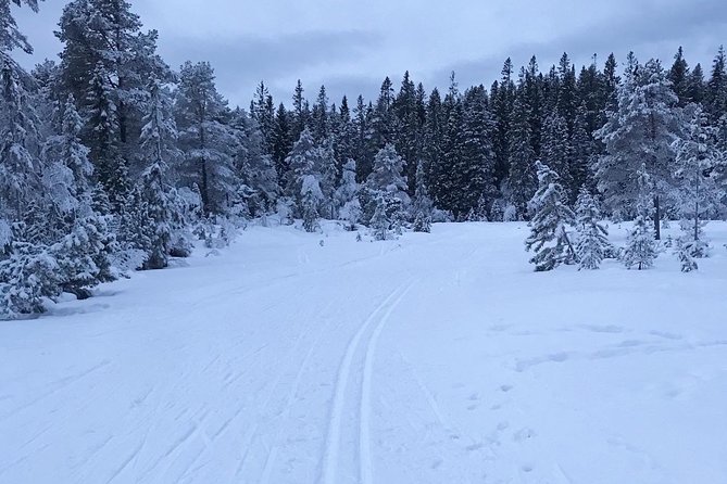Skiing in winter wonderland - Who will get the most from this outing