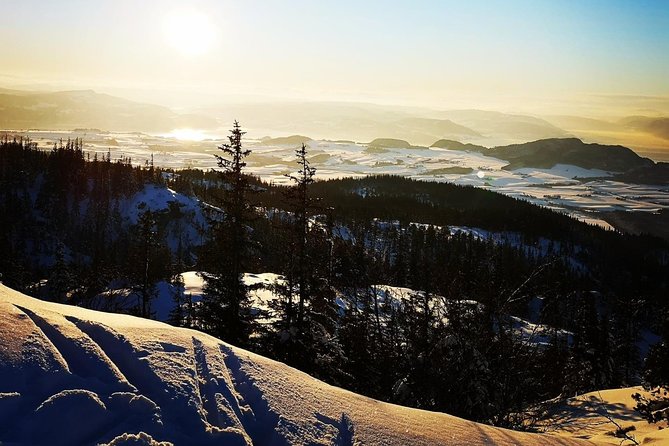 Skiing in winter wonderland - A forest route shaped by the group