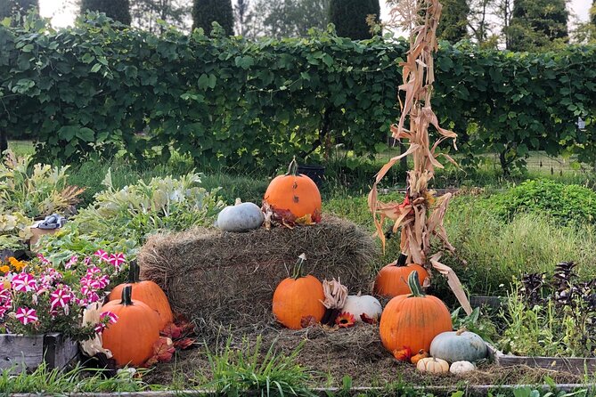 Smokies, S'mores, Mulled Wine and Fall Fun at Kelowna Winery - Who will enjoy this most