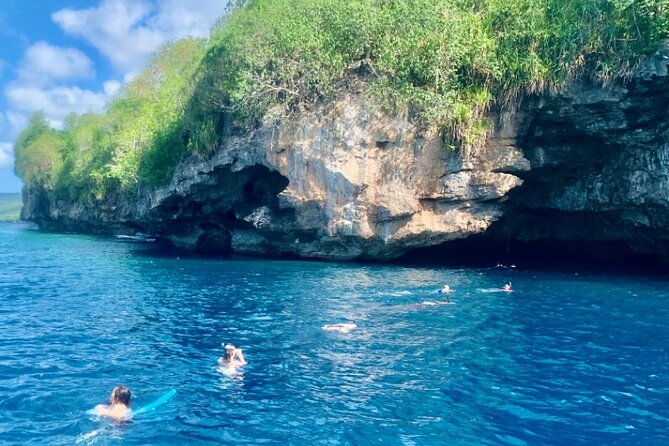 Snorkelling Christmas Island - Key points to know before booking