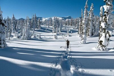 Snowshoe Through Vancouver’s Winter Wonderland