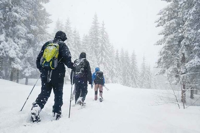 Snowshoe Tour in Winter Wonderland - Oslo - Key points at a glance