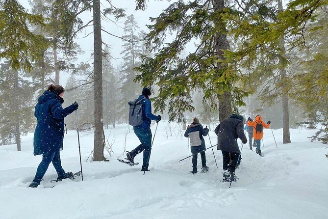Snowshoe Tour in Winter Wonderland - Oslo - What guides add to the morning