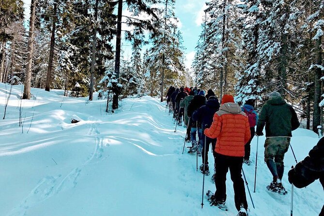 Snowshoe Tour in Winter Wonderland - Oslo - Dress for the weather, not the calendar