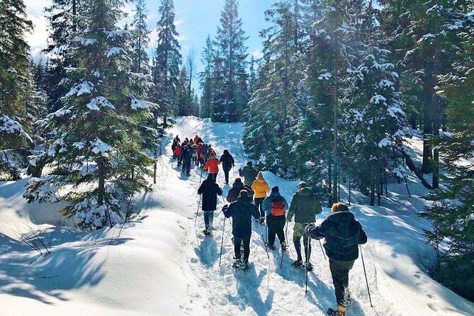 Snowshoe Tour in Winter Wonderland - Oslo - How the price compares with the experience