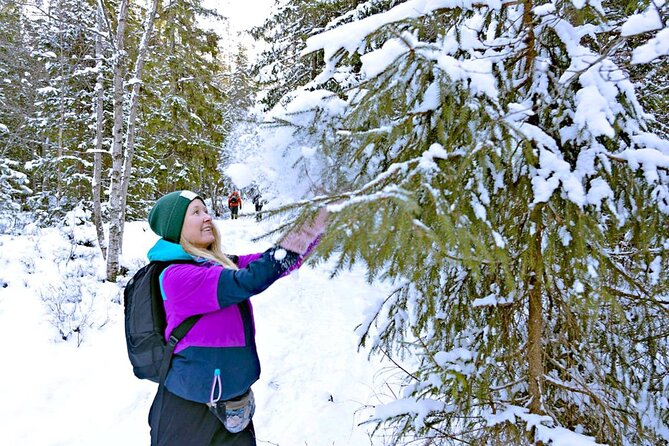 Snowshoe Tour in Winter Wonderland - Oslo - Returning to Oslo