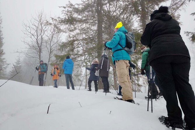Snowshoe Tour in Winter Wonderland - Oslo - Who should book this Oslo snowshoe tour?