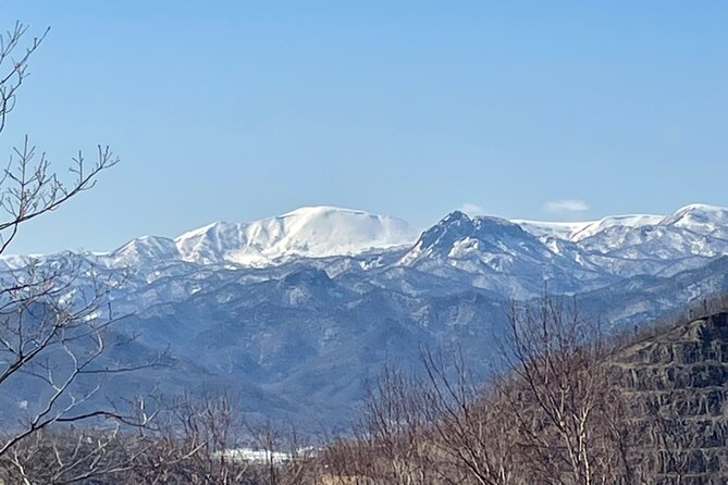 Snowshoeing and Onsen Adventures in a Winter Wonderland -Sapporo. - Key points before you book