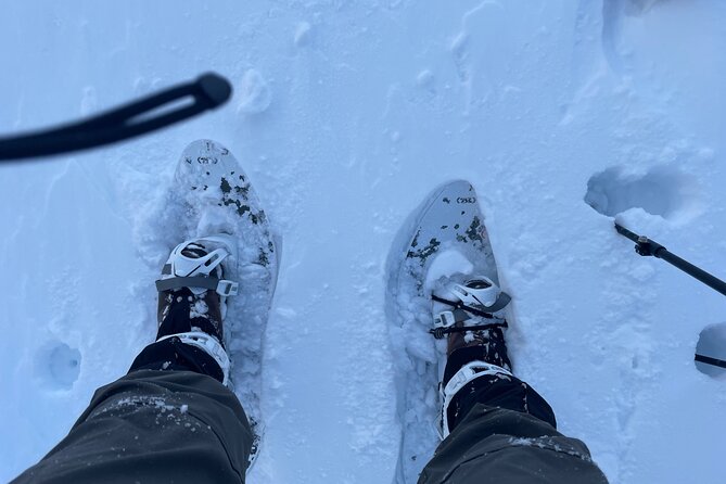 Snowshoeing and Onsen Adventures in a Winter Wonderland -Sapporo. - From Makomanai Station to the Hokkaido backcountry