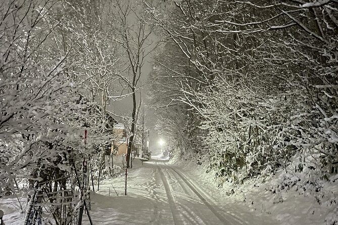 Snowshoeing and Onsen Adventures in a Winter Wonderland -Sapporo. - Lunch in the snow