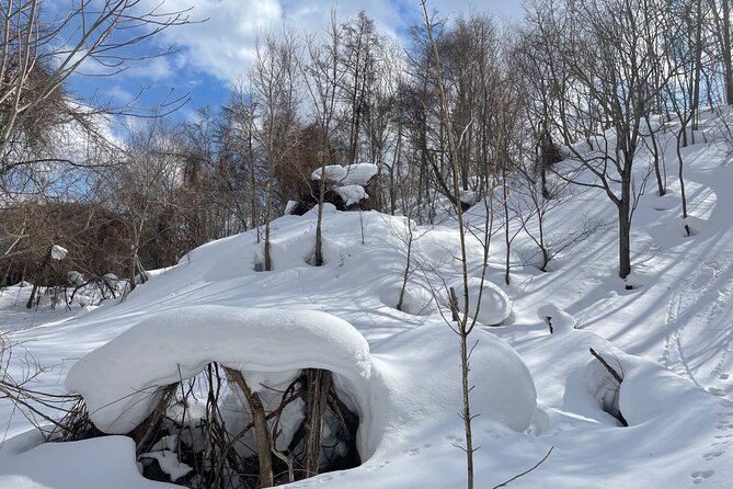 Snowshoeing and Onsen Adventures in a Winter Wonderland -Sapporo. - What the $224.02 price really covers