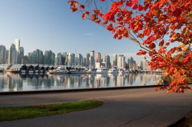 Snowshoeing In Vancouver's Winter Wonderland - Key points to know before booking