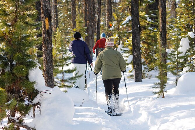 Snowshoeing In Vancouver's Winter Wonderland - From Vancouver streets to Cypress snow