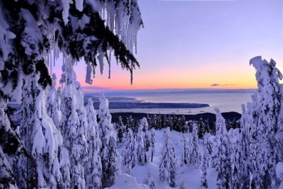 Snowshoeing In Vancouver’s Winter Wonderland