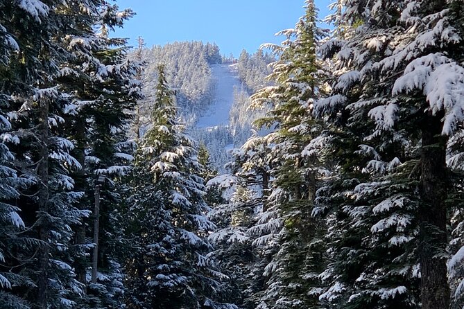 Snowshoeing In Vancouver's Winter Wonderland - What the guide adds to the day