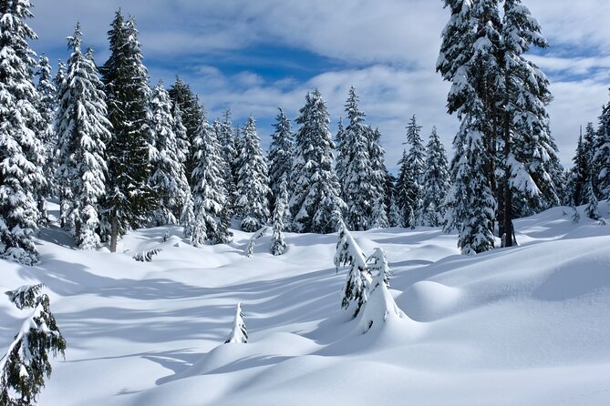 Snowshoeing In Vancouver's Winter Wonderland - How the four hours are likely to feel