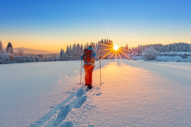 Snowshoeing In Vancouver's Winter Wonderland - Who will enjoy this most