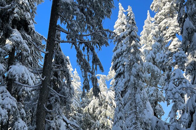 Snowshoeing In Vancouver's Winter Wonderland - Dates, pickup, and cancellation details