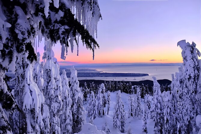 Snowshoeing In Vancouver's Winter Wonderland - Why Cypress Provincial Park works for a half-day