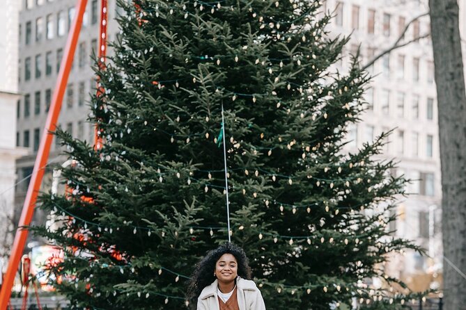 St. Louis Private Christmas Spectacular Tour - A compact Christmas route through downtown St. Louis