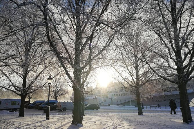 Stockholm Christmas Tour and Food Tasting Experience - Skeppsbrokajen and the world’s tallest natural Christmas tree